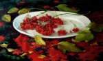 Калина красная