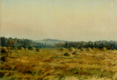 width=400